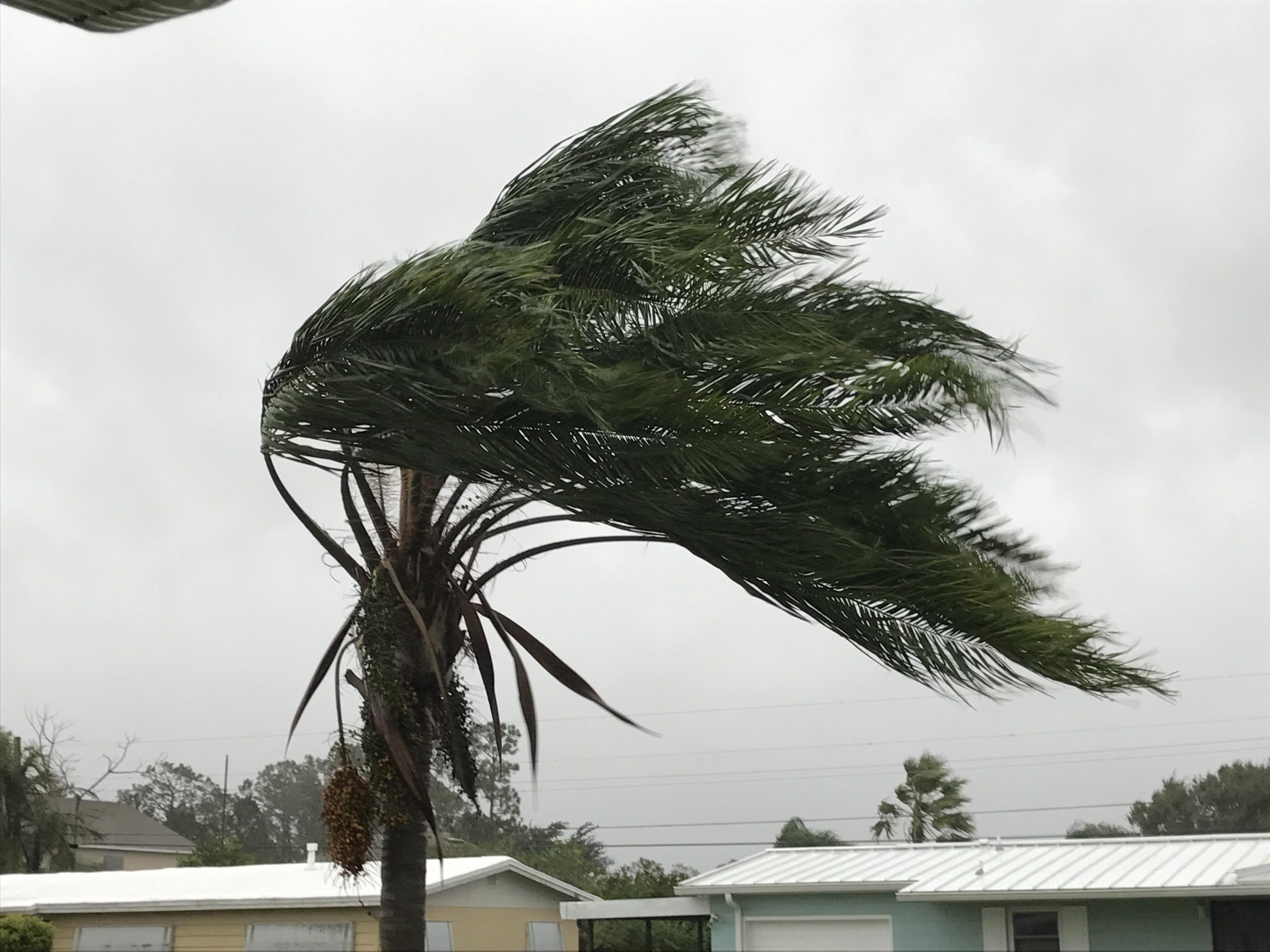 Wind And Storm Repair Service South Florida JASD Inc scaled